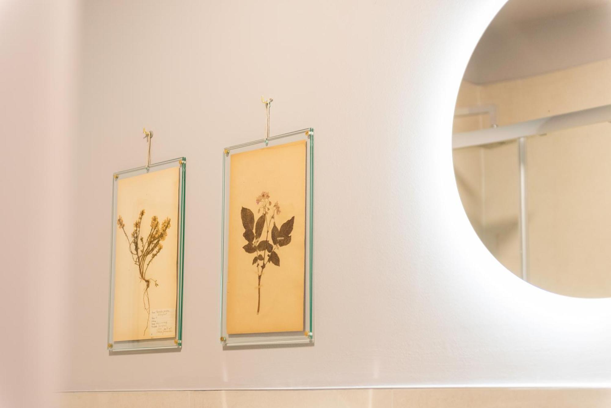 Regina Boutique Suites Trieste Eksteriør billede